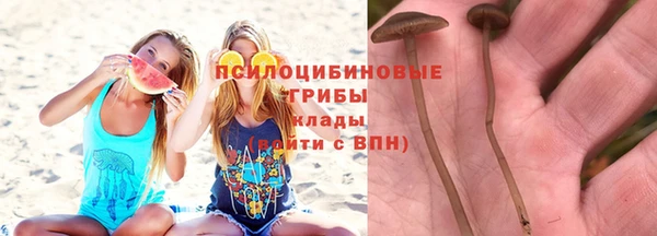мескалин Нефтекумск