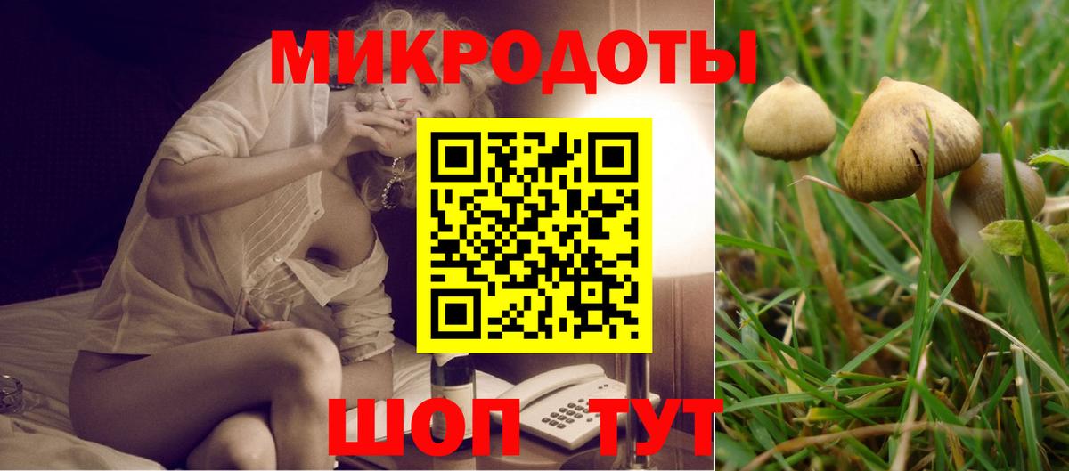 Галлюциногенные грибы мицелий  Вход с VPN  Новоалтайск 