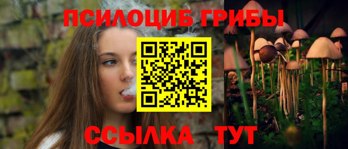 Галлюциногенные грибы мицелий Новоалтайск